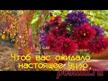 ДРУЗЬЯ! С ДОБРЫМ ОСЕННИМ УТРОМ! - YouTube