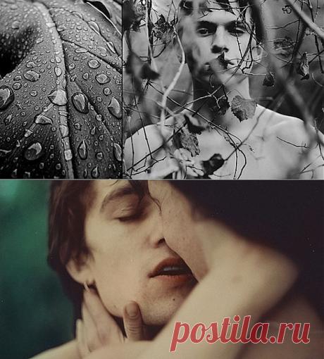 Системно-векторная психология. Уровни либидо