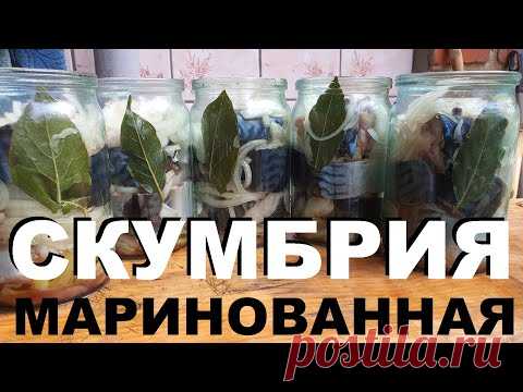 СКУМБРИЯ МАРИНОВАННАЯ С ЛУКОМ В БАНКАХ РЕЦЕПТЫ СЮФ
