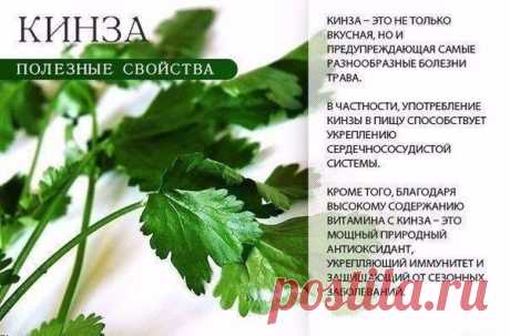 (4) Мой Мир@Mail.Ru