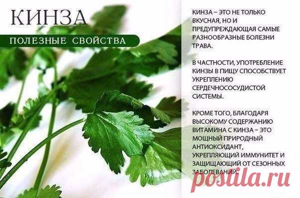 (4) Мой Мир@Mail.Ru