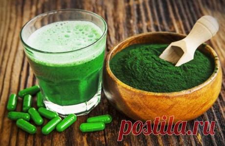 Как принимать спирулину
⠀
Ни в коем случае не стоит добавлять спирулину в термообработанную пищу, особенно жареную или с мясом — в этих случаях эффект суперфуда снижается практически полностью.
⠀
Принимать спирулину можно просто смешав с водой. В этом случае необходимо подождать 5-10 минут, пока водоросль разбухнет, а затем снова перемешать.
Показать полностью…