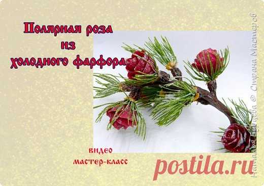 Лиственница из холодного фарфора | Страна Мастеров