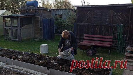 Как я выращиваю богатый урожай экологически чистых продуктов | Секреты жизни на даче | Дзен