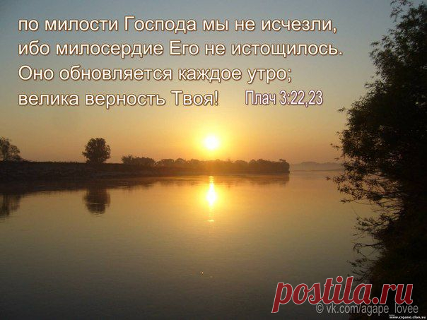 ♥...Агапэ...♥
