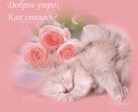 Доброе утро солнышко моё!!!