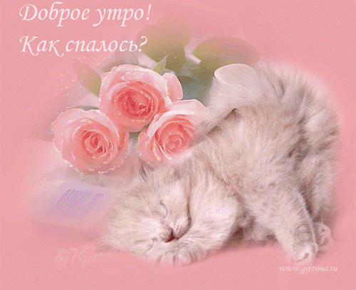 Доброе утро солнышко моё!!!