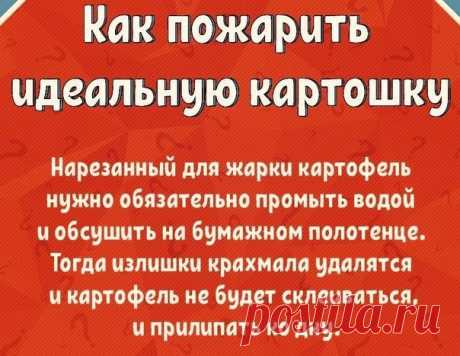 Рецепты и кулинария
