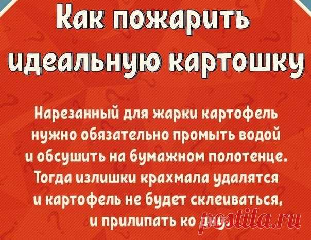 Рецепты и кулинария