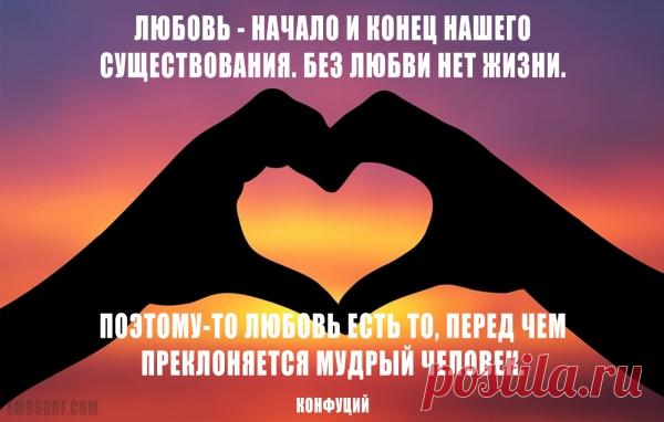 Цитаты о любви великих людей всех времен