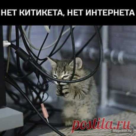 Юмор для всех: 27 классных анекдотов и шуточек в картинках для великолепного настроения