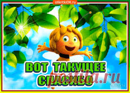 мирилка в садик