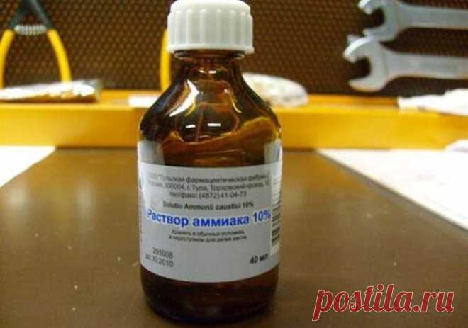 Избавляемся от грибка: просто и эффективно