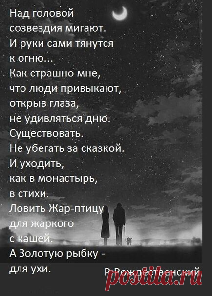 Всегда любила стихи Рождественского