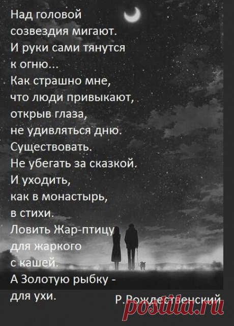 Всегда любила стихи Рождественского