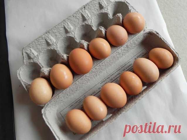 Искусственные яйца из Китая
