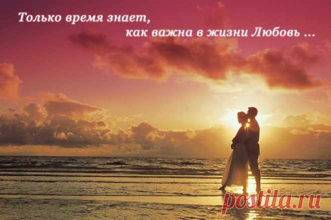 Мудрая притча о любви | Newpix.ru - позитивный интернет-журнал