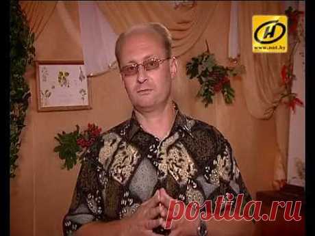 Эффективное лечение гастрита народными средствам