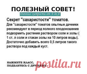 Полезный совет