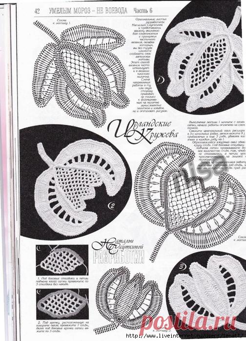 101390357_large_duplet_144_59.jpg (504×699)