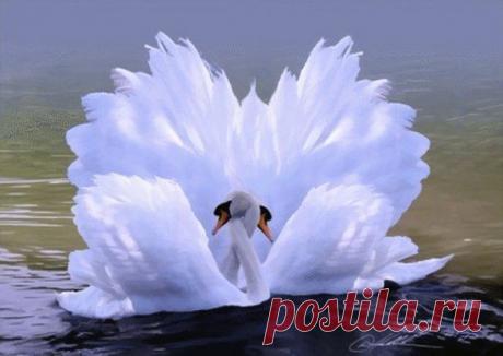 Говорят, это-талисман удачи. Просто сказочная красота)