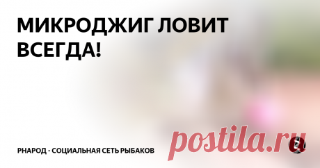 МИКРОДЖИГ ЛОВИТ ВСЕГДА! Так вот, к чему это я….Самая приятная фраза от Бати в этот день:
– Я тоже хочу «микрушник», привези мне в подарок на новый год или день рождения.