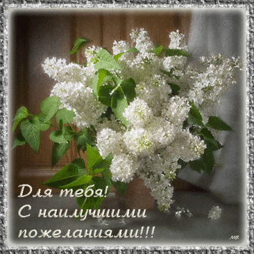 Желаю отличного настроения, никогда не падай духом и будь всегда на позитиве, помни, что жизнь одна и никогда не вздумай грустить.