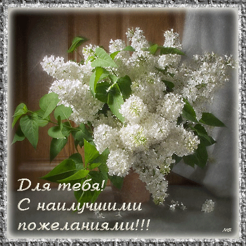 Желаю отличного настроения, никогда не падай духом и будь всегда на позитиве, помни, что жизнь одна и никогда не вздумай грустить.
