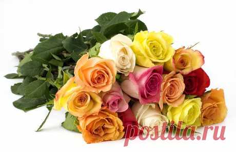 Очень здорово, что есть день рождения,
Сегодня все могут поздравить тебя.
Желаю счастья тебе и терпения,
Пусть будет свежей всегда голова,
Работа — любимой, любовь — долговечной,
Сюрпризы — приятными, жизнь — нескучна,
Люди — надежными, счастье — беспечным,
Пусть будет вокруг всегда красота.
Слова подобрать в этот день очень сложно,
Ведь хочется радовать ими тебя.
Жить без таких, как ты, невозможно,
С днем твоего рождения!