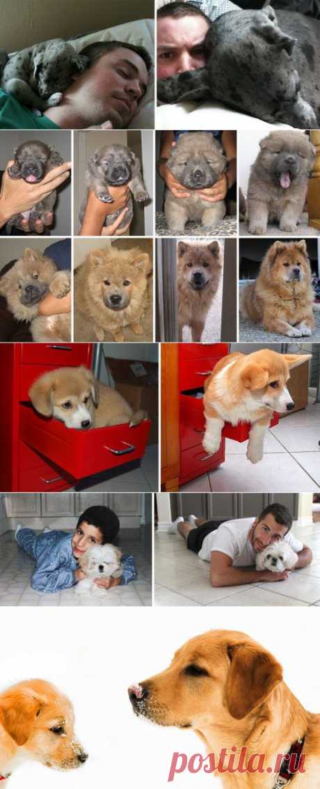 А МЫ РОСЛИ, РОСЛИ И... ВЫРОСЛИ! :))) (ФОТО) | Давай поговорим