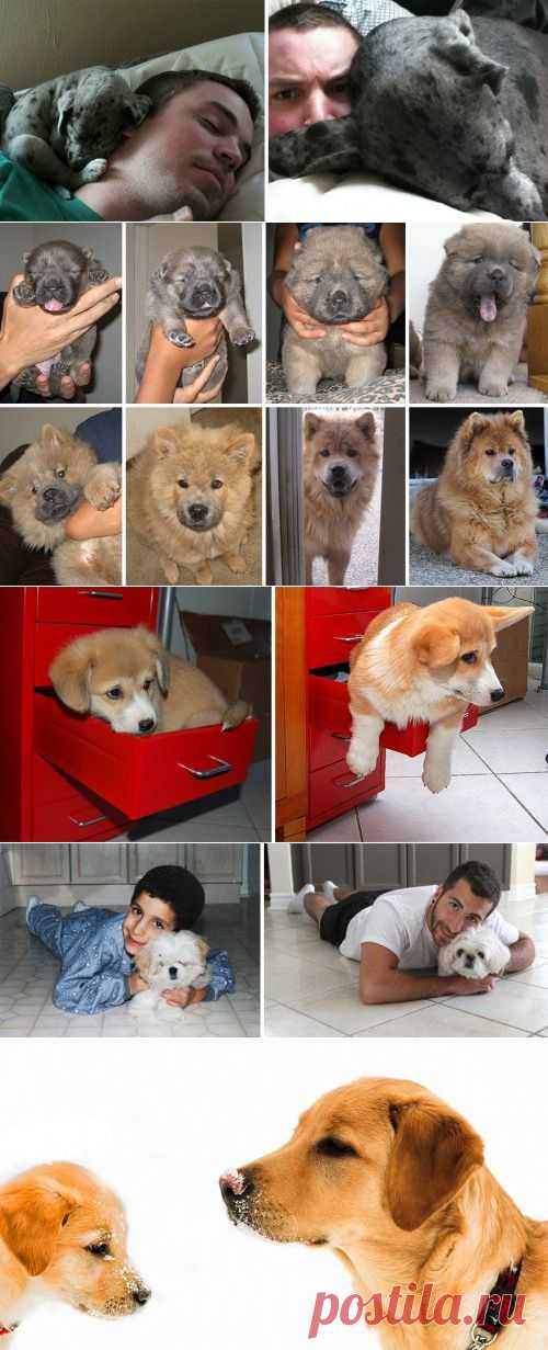 А МЫ РОСЛИ, РОСЛИ И... ВЫРОСЛИ! :))) (ФОТО) | Давай поговорим