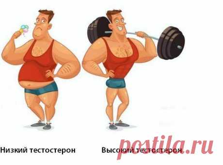 5 признаков низкого уровня тестостерона. Как повысить уровень тестостерона мужчине естественным способом
Не многие мужчины могут похвастаться высоким уровнем тестостерона. Это все хорошо, но именно тестостерон может убить все мужское в самом мужчине. Тестостерон влияет: на внешний вид мужчины; набор мышечной массы; энергичность и работоспособность; половое влечение и другие вещи. Иногда мужчина...
Читай дальше на сайте. Жми подробнее ➡