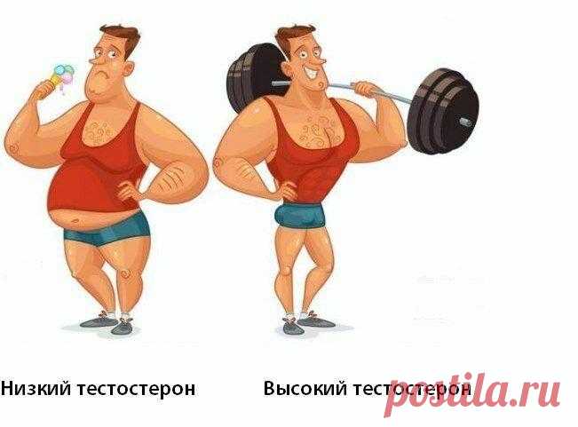 5 признаков низкого уровня тестостерона. Как повысить уровень тестостерона мужчине естественным способом
Не многие мужчины могут похвастаться высоким уровнем тестостерона. Это все хорошо, но именно тестостерон может убить все мужское в самом мужчине. Тестостерон влияет: на внешний вид мужчины; набор мышечной массы; энергичность и работоспособность; половое влечение и другие вещи. Иногда мужчина...
Читай дальше на сайте. Жми подробнее ➡