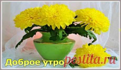 Доброе утро! Желаю Вам солнечного настроения, здоровья, радости, добра, благополучия! * * * * * Скопируйте ссылку и Отправьте бесплатно родным, подругам и друзьям! Музыкальная открытка: Открытка…