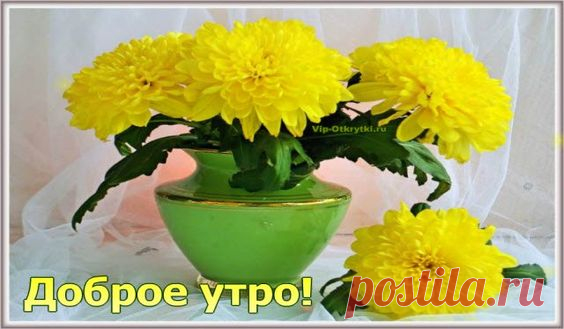 Доброе утро! Желаю Вам солнечного настроения, здоровья, радости, добра, благополучия! * * * * * Скопируйте ссылку и Отправьте бесплатно родным, подругам и друзьям! Музыкальная открытка: Открытка…
