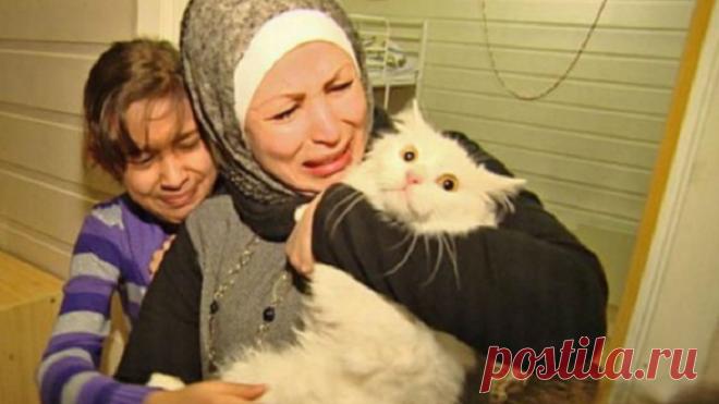 Коту повезло - добрые люди помогли ему преодолеть полмира, чтобы найти свою семью. Теперь он счастлив! Иракская семья — мать и пятеро детей — была вынуждена бежать из города Мосул, оккупированного террористами. Конечно, они не могли не взять с собой еще одного члена семьи — кота Кункуша породы турецкий ван.




В ноябре прошлого года семья, проделав нелегкий путь, прибыла на остров Лесбос, но та