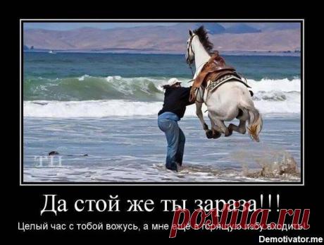 КАК ХОТЕЛОСЬ БЫ БЫТЬ... БЕЗЗАЩИТНОЙ...ПАДАТЬ В ОБМОРОКИ...
ОТ ТРЕВОЛНЕНИЯ*,НО ЖИВУ Я..., НЕКРАСОВСКОЙ БАБОЙ....,
ТО КОНЯ...НА СКАКУ...,ТО В ПЛАМЕ'НИЯ...МНЕ, КОНЕЧНО, ХОТЕЛОСЬ....Б ИНАЧЕ...И СЛОВА МНЕ ЛЮБВИ...ГОВОРЯТ,
НО ВЕДЬ КОНИ...- ВСЁ СКАЧУТ И...СКАЧУТ,
ТОЛЬКО ИЗБЫ...-   ГОРЯТ....И...ГОРЯТ!