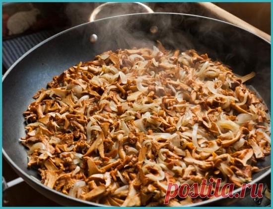 Заготовки из лисичек на зиму простые рецепты, консервация и заморозка