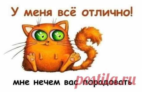 Лучшие посты только для Вас