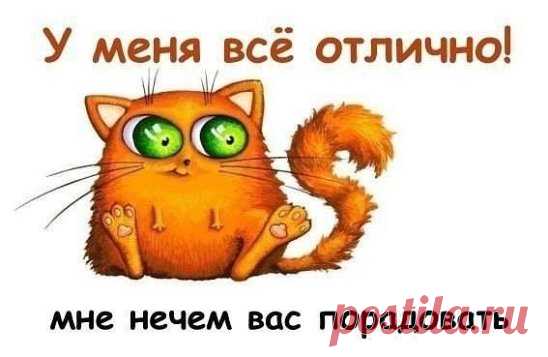 Лучшие посты только для Вас