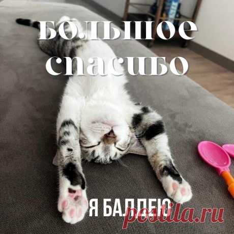 За всё я Вас благодарю,
Поддержку Вашу я ценю,
Спасибо за добро, внимание
И за все-все Ваши старания.