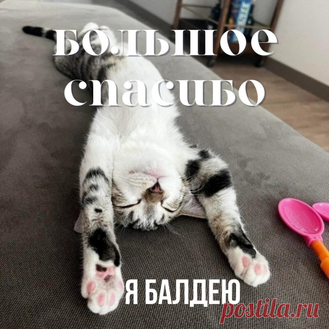 За всё я Вас благодарю,
Поддержку Вашу я ценю,
Спасибо за добро, внимание
И за все-все Ваши старания.