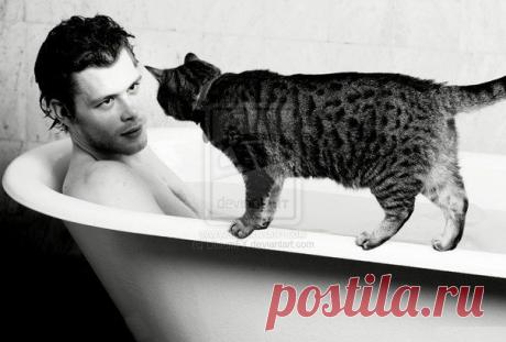 -А ты меня любишь?
- Нет!
- Мог и соврать...
- Я и соврал!