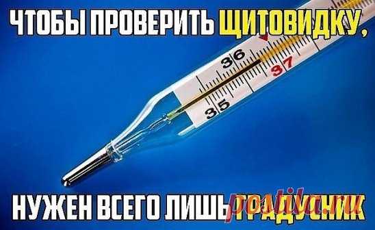 Чтобы проверить свою щитовидку, нужен только градусник 
Мало кто об этом знает, но еще 50 лет назад ученый Брода Отто Барнс обнаружил, что температура тела - отличный индикатор того, как работает ваша щитовидная железа. 
Есть только один нюанс: температуру тела нужно мерять сразу после пробуждения, еще в кровати. 
Барнс заметил, что ненормальная температура по утрам - первый признак воспалительн