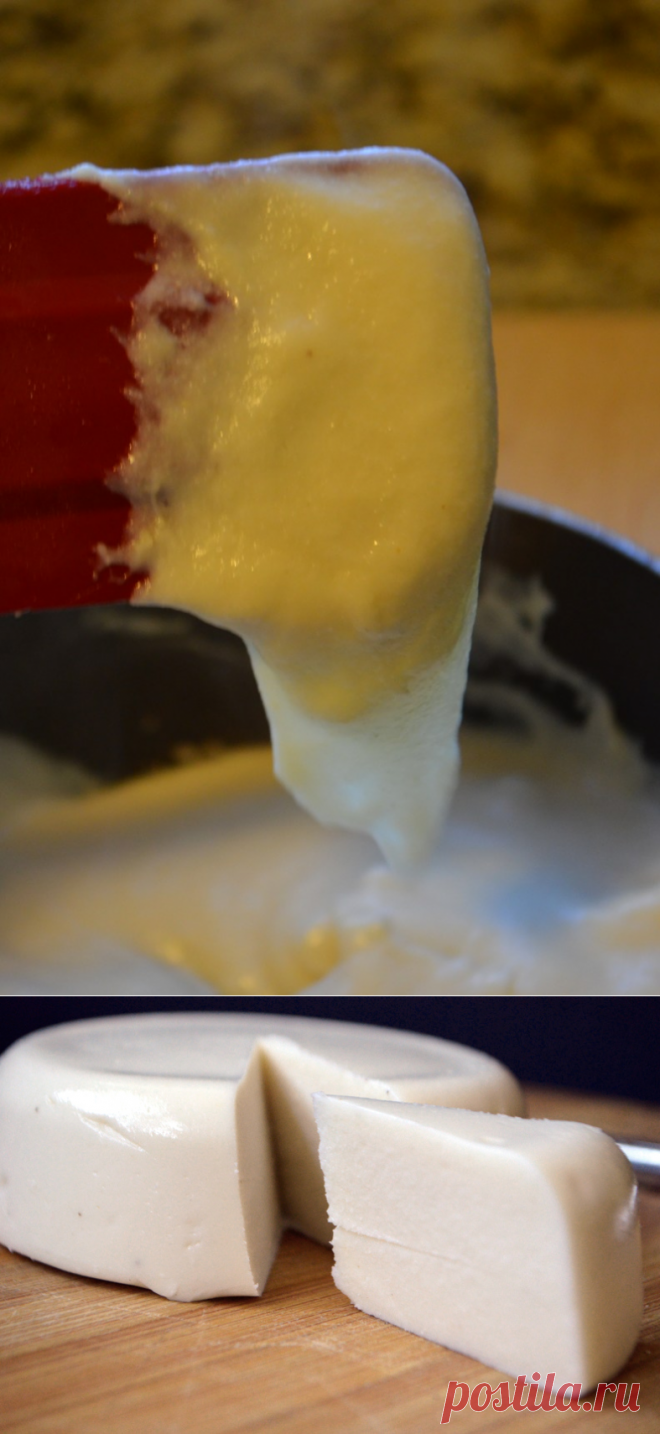Mozzarella Aquafaba Cheese | Avocados and Ales