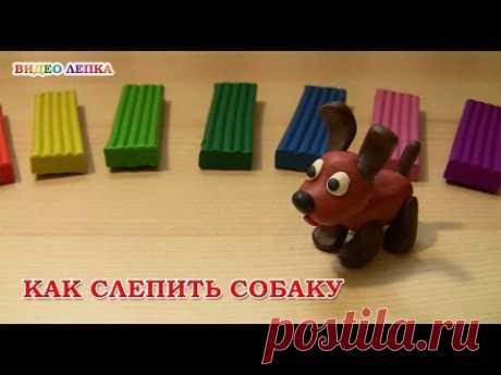 Собака из пластилина | Видео Лепка