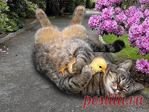 - Солнышко моё...