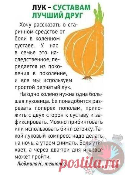 Мой Мир@Mail.Ru