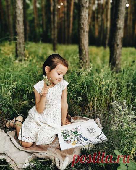 Друзья, а вы с детьми собираете гербарий?🌿 Специально для этого интересного занятия у нас есть две книги: «Мой гербарий. Листья деревьев» (mif.to/yQo0L) и «Мой гербарий. Цветы и травы» (mif.to/M35pi). Каждая книга расскажет ребенку о 16 видах растений и деревьев средней полосы России, а между страниц, под калькой можно сохранить своё растение. Тексты в книгах написаны учёным-биологом, а реалистичные акварельные иллюстрации откроют читателю мир растений, научат внимательнее относиться к природе…