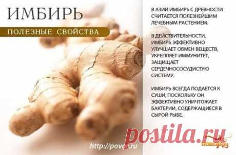 Имбирь полезные свойства